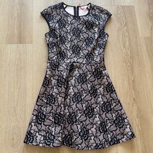 Ted Baker London Black Lace Cap Sleeve Mini Dress